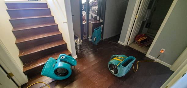 Best Carpet water damage restoration  in Lanai City, HI