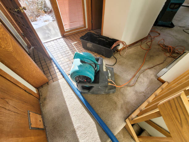 Best Water damage restoration mold remediation  in Lanai City, HI