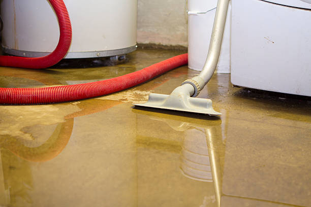 Best Water damage restoration near me  in Lanai City, HI