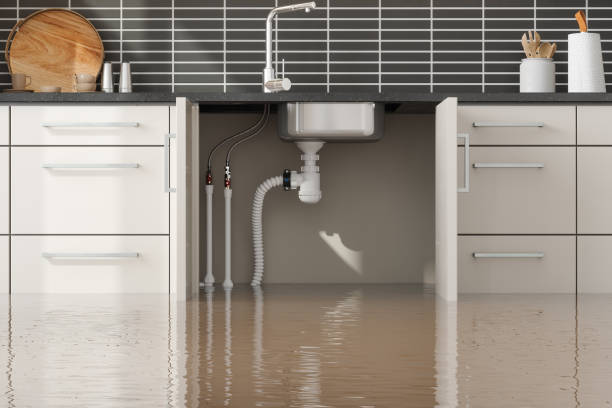 Best Water damage restoration near me  in Lanai City, HI